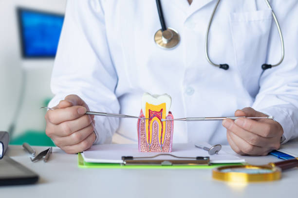 Best Pediatric Emergency Dentist in Kodi Station, AK